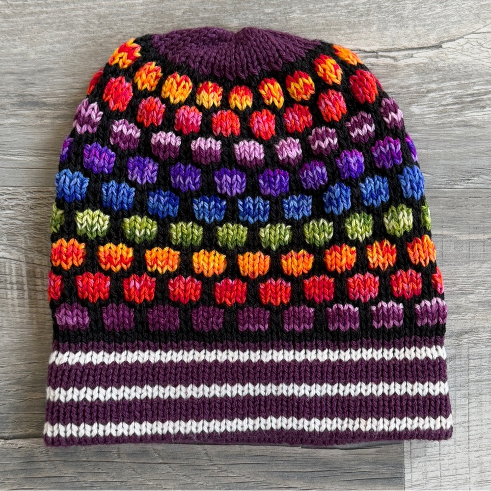 Alpaca Rainbow Handmade Peruvian Beanie